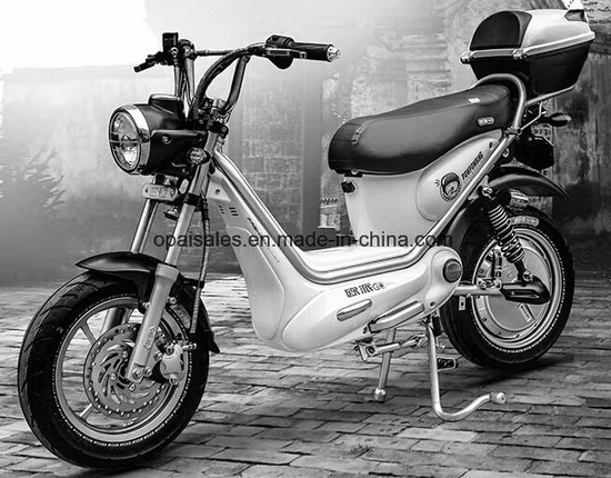 Wired Bike Computer Multifunction Computer Speedometer Odometer Speed Cadence Sensor Bike Bicycle Computer