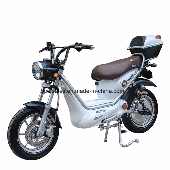 Wired Bike Computer Multifunction Computer Speedometer Odometer Speed Cadence Sensor Bike Bicycle Computer