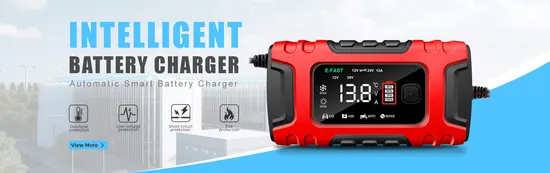 Original Brand New Rear Carrier Charger for Electric City Bike 48V 13ah Battery